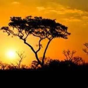 Meet your Posher, Doreen